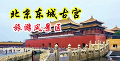 乱轮∽啊∽啊∽用力∽啊~不行了中国北京-东城古宫旅游风景区